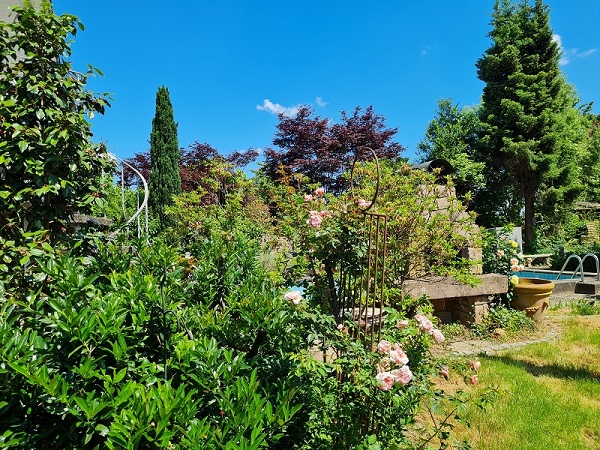 Ansicht 5 Einfamilienhaus Achern