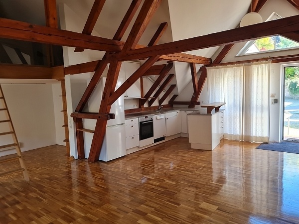 Wohnen / Essen / K�che - Hauptwohnung Mehrfamilienhaus M�llheim
