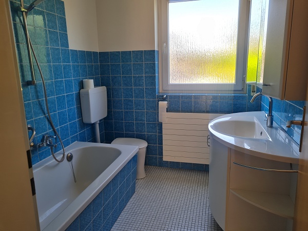 Bad EG Einfamilienhaus Breisach