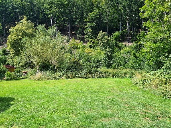 Ansicht 2 Grundst�ck Badenweiler