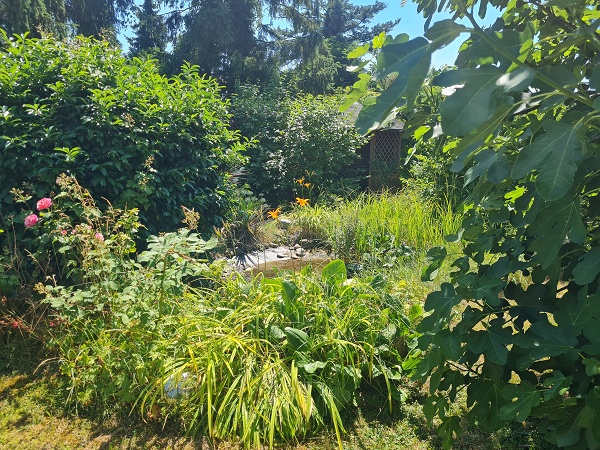 Garten Einfamilienhaus Breisach